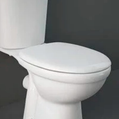 Крышка-сиденье для унитаза Rak Ceramics Karla KR05DXSCAWHA